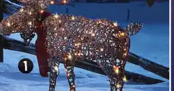 Canadian Tire CANVAS LED Moose offer