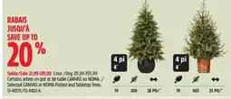 Canadian Tire Selected CANVAS or NOMA Potted and Tabletop Trees offer