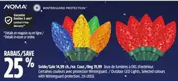 Canadian Tire Outdoor LED Lights offer