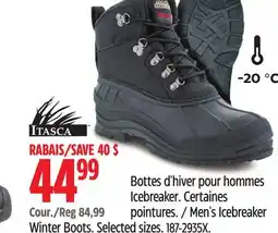 Canadian Tire Men's Icebreaker offer