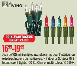 Canadian Tire For Living Indoor or Outdoor Mini Incandescent Lights, 100-Ct offer