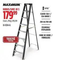 Canadian Tire Maximum Ladders offer