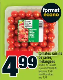 Super C tomates raisins de serre, mélangées | small tomatoes offer