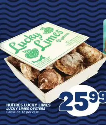 Marché Bonichoix LUCKY LIMES OYSTERS offer