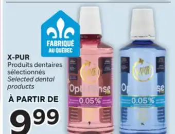 Brunet X-PUR Produits dentaires sélectionnés offer