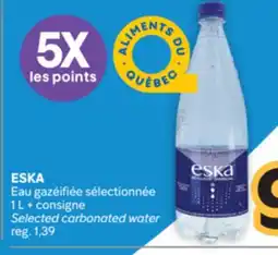 Brunet ESKA Eau gazéifiée sélectionnée offer