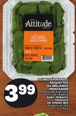 Marché Bonichoix ATTITUDE FRAÎCHE BABY SPINACH, ARUGULA OR SPRING MIX offer