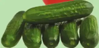 Giant Tiger mini cucumbers offer