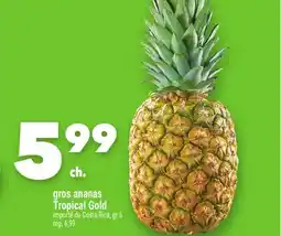 Marche Ami Gros ananas Tropical Gold offer