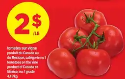 Maxi TOMATES SUR VIGNE | TOMATOES ON THE VINE offer