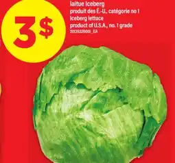 Maxi LAITUE ICEBERG | ICEBERG LETTUCE offer