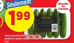 Maxi MINI CONCOMBRES DÉLICES DU MARCHÉ, 6 UN offer