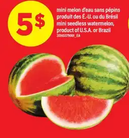 Maxi MINI MELON D'EAU SANS PÉPINS | MINI SEEDLESS WATERMELON offer