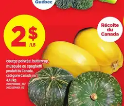 Maxi COURGE POIVRÉE, BUTTERCUP, MUSQUÉE OU SPAGHETTI offer