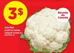 Maxi CHOU-FLEUR offer