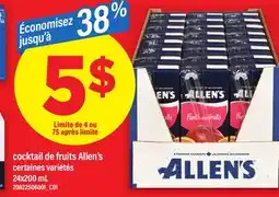 Maxi COCKTAIL DE FRUITS ALLEN'S, 24x200 mL offer