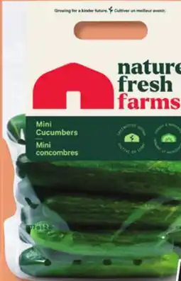 IGA SEEDLESS MINI CUCUMBERS offer