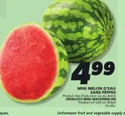 IGA SEEDLESS MINI WATERMELON offer