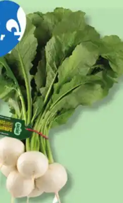 IGA WHITE TURNIPS offer