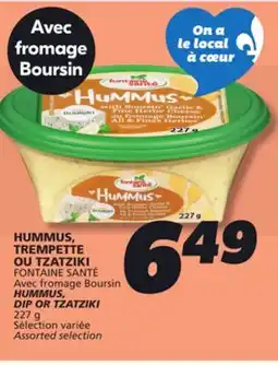 IGA FONTAINE SANTÉ HUMMUS, DIP OR TZATZIKI offer