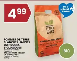 Rachelle-Bery Grocery ORGANIC WHITE, YELLOW OR RED POTATOES offer