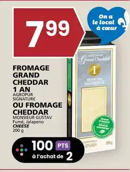 Rachelle-Bery Grocery AGROPUR SIGNATURE MONSIEUR GUSTAV Fumé, Jalapeno CHEESE offer