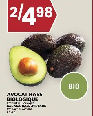 Rachelle-Bery Grocery ORGANIC HASS AVOCADO offer