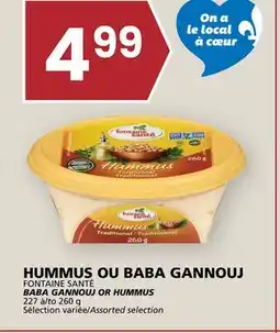 Rachelle-Bery Grocery FONTAINE SANTÉ BABA GANNOUJ OR HUMMUS offer
