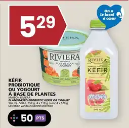 Rachelle-Bery Grocery MAISON RIVIERA PLANT-BASED PROBIOTIC KEFIR OR YOGURT offer