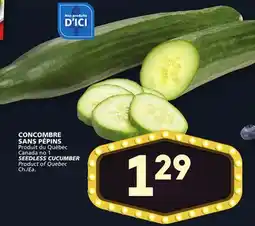 Marches Tradition SEEDLESS CUCUMBER offer