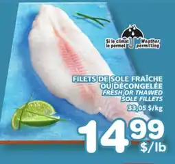 Marches Tradition FRESH OR THAWED SOLE FILLETS offer