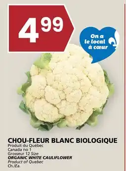 Rachelle-Bery Grocery ORGANIC WHITE CAULIFLOWER offer