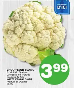 Marches Tradition WHITE CAULIFLOWER offer