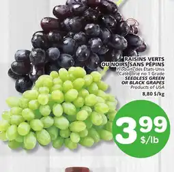 Marches Tradition SEEDLESS GREEN OR BLACK GRAPES offer