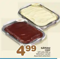 Marches Tradition CAKE offer