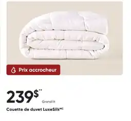 Dormez Vous Couette de duvet LuxeSilk offer