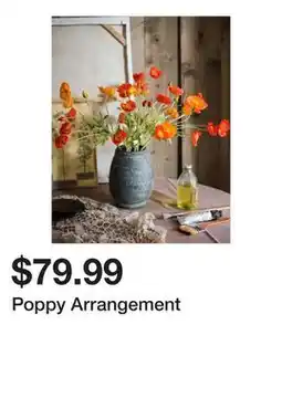 Wayfair Poppy Arrangement offer