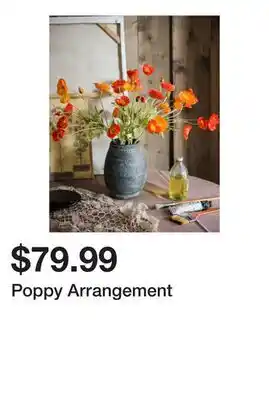 Wayfair Poppy Arrangement offer