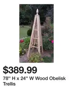 Wayfair 78'' H x 24'' W Wood Obelisk Trellis offer