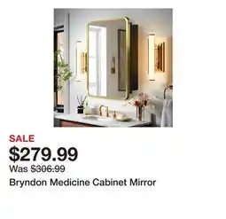 Wayfair Bryndon Medicine Cabinet Mirror offer