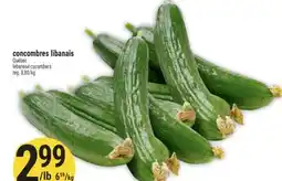Marché Adonis concombres libanais offer