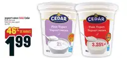 Marché Adonis YOGOURT NATURE HALALHALAL CEDAR | CEDAR HALALHALAL PLAIN YOGOURT offer