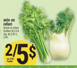 Marché Adonis ANIS OU CÉLERI | FENNEL OR CELERY offer