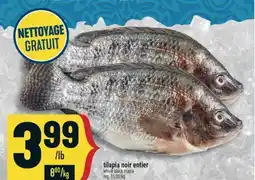 Marché Adonis TILAPIA NOIR ENTIER | WHOLE BLACK TILAPIA offer