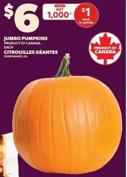 Loblaws Jumbo pumpkins offer