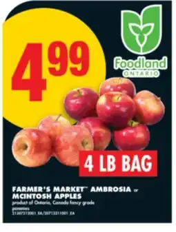 No Frills FARMER'S MARKET AMBROSIA or MCINTOSH APPLES, 4 LB BAG offer