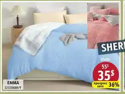 Sushi Shop EMMA offer