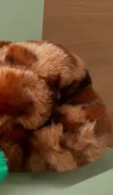 Walmart Jessica Simpson slippers offer