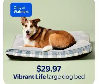 Walmart Vibrant Life large dog bed offer