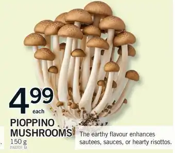 Fortinos PIOPPINO MUSHROOMS,150 G offer